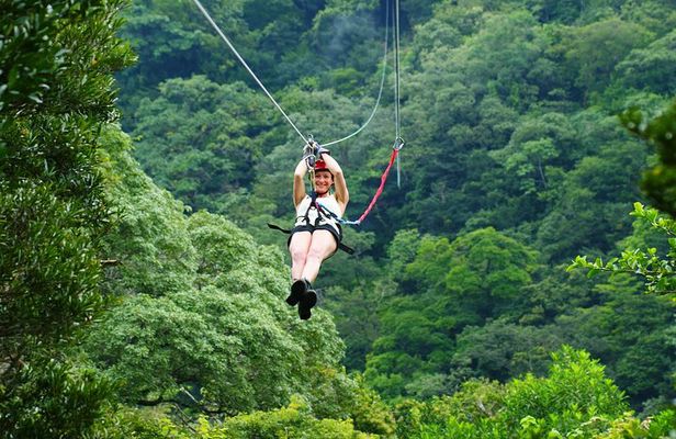 Zipline Tour in Braulio Carrillo National Park From San José