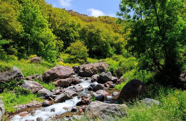 Day trip to Atlas mountains waterfall & Agafay camel Ride experience