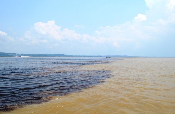 Amazon Negro River Half-Day Expedition Tour