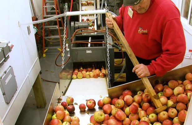 Fly Creek Cider Mill & Orchard - Private Tour with Owner