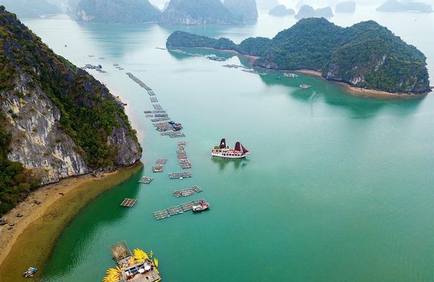 Lan Ha bay luxury cruise 2D/1N: Kayaking, jumping & swimming at pristine places