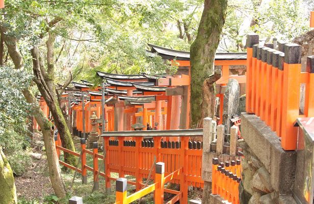 Inside of Fushimi Inari - exploring and lunch with locals