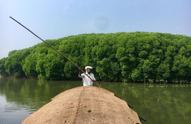 Into the Mangroves: Calicut Mangrove Trail by Tyndis 