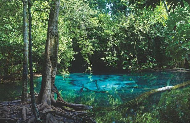 Kayaking in Ao Thalane - Discover the Mangrove life