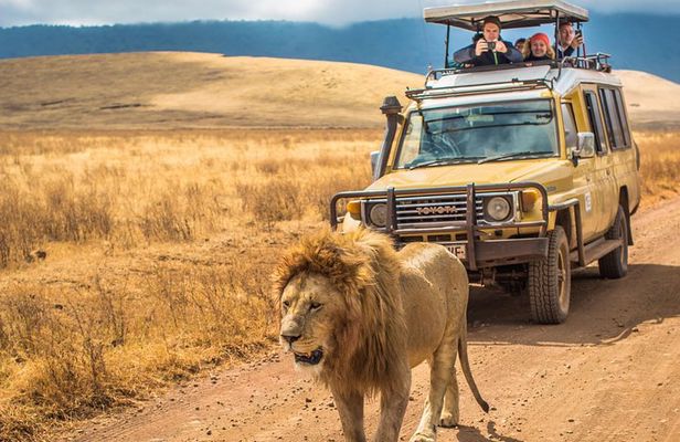 4 Days Private Safari - Tarangire, Serengeti & Ngorongoro Crater 