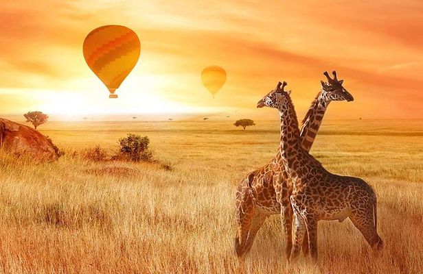5 Days Private Safari- Tarangire, Serengeti, Ngorongoro & Manyara