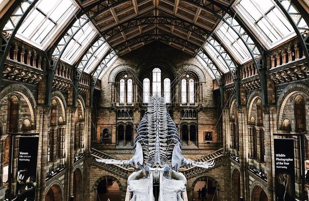 Natural History Museum London - Exclusive Guided Museum Tour
