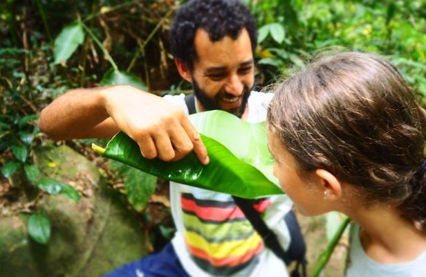 Forest Forager - Wild Food Walk