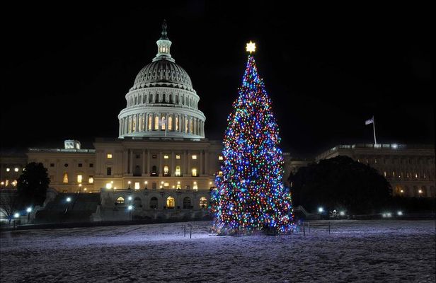 Holiday Lights Tour of Washington DC and Old Town Alexandria
