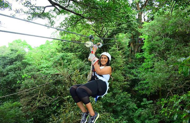 Eco-Adventure Park Premium Day Pass