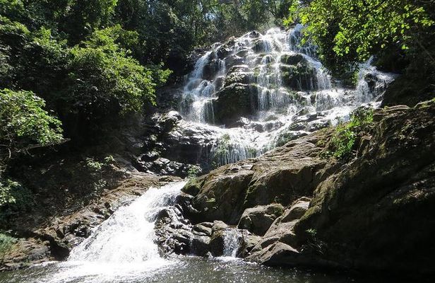UDZUNGWA NATIONAL PARK AND WATERFALLS - 3 Days