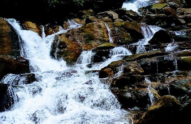 Kanneliya Rain Forest Tour