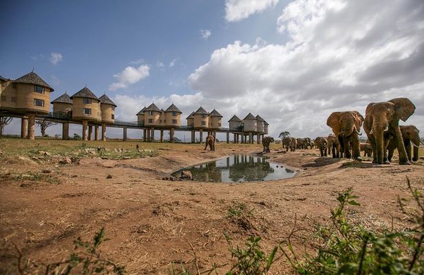 2-Day Taita Hills Safari - From Mombasa