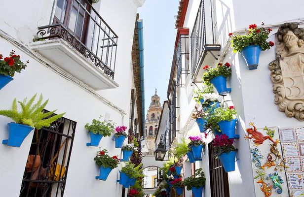 Mosque-Cathedral, Alcazar & Jewish Quarter with Tickets