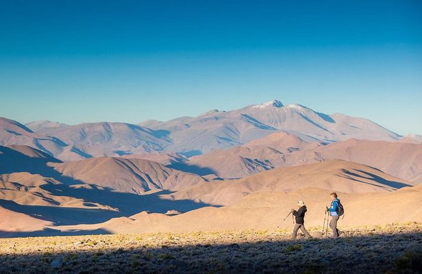 San Antonio de los Cobres: Day Venture from Salta