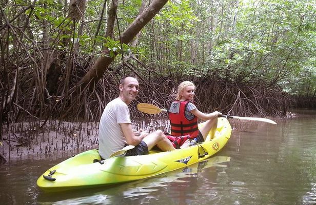 Langkawi Adventure Tour : Mangrove Kayaking with Private Pickup