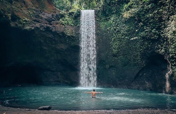 Best of Ubud Waterfalls : All inclusive & Private Trip