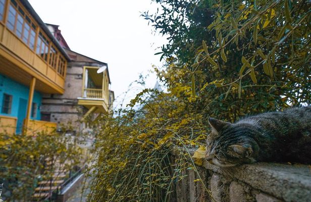 Classic Tbilisi Walking Tour