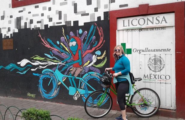Graffiti & Urban Art Biketour w/ taco stop