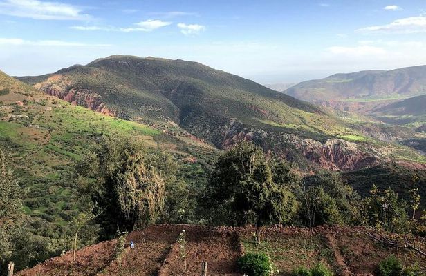 Imlil Guided day trip