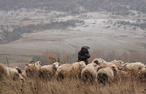 Private Tour to Kazbegi from Tbilisi