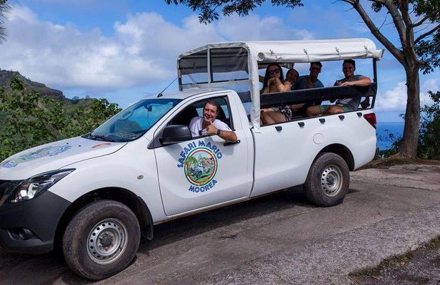 Private Tour Moorea 4WD - Belvedere Pineapple Farm, Magic Mount.