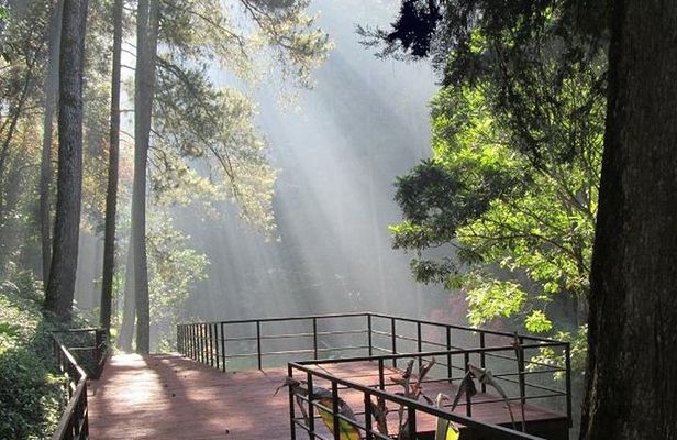 Bandung Private Tour Mountain Volcano and Hotspring ( Overland )