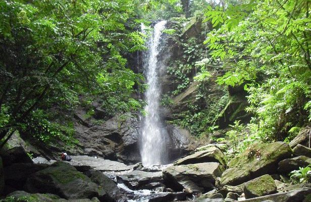 Avocat Waterfall Tour & Beach Stop Adventure