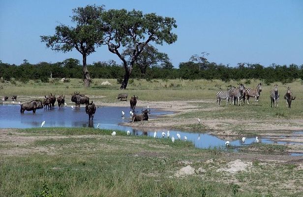 3 Day Chobe National Park Camping Tour