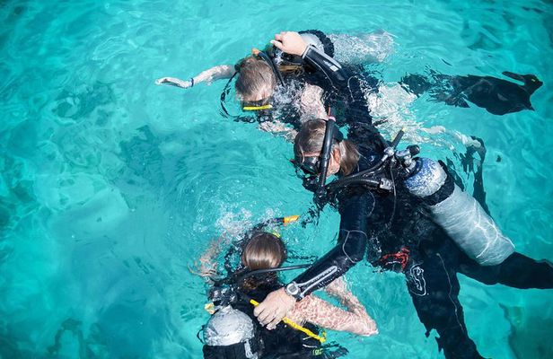 PADI Discover Scuba Dive at 5 Star Dive Center Blue Bay Dive, Curacao