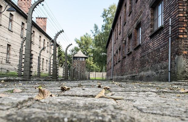 Combined: Auschwitz Birkenau and Salt Mine private chauffeur from Krakow