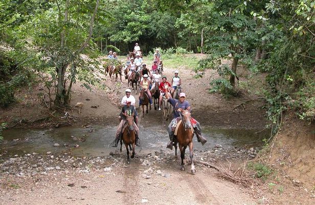 Horseback Riding River swimming From Bayahibe