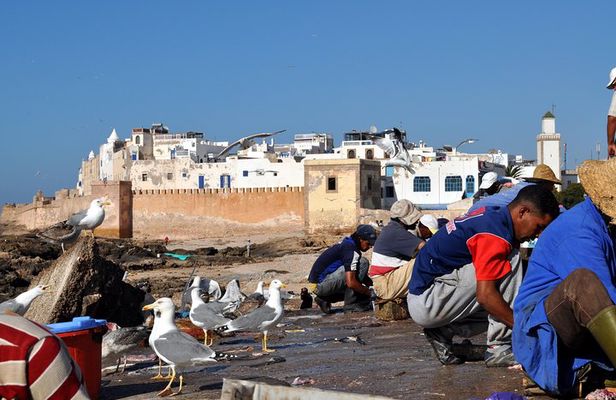 Essaouira Mogador Journey From Marrakech
