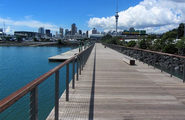 Auckland Tour City Highlights Half Day