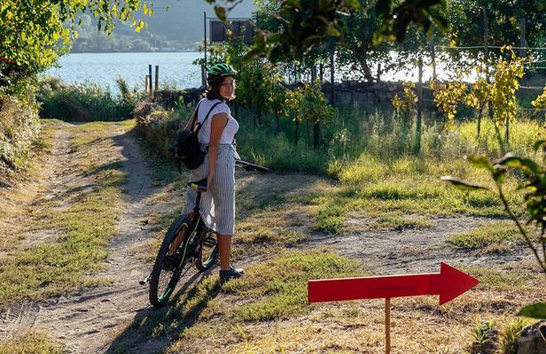Naples Scenic E-Bike Ride to a Local Vineyard with Meal