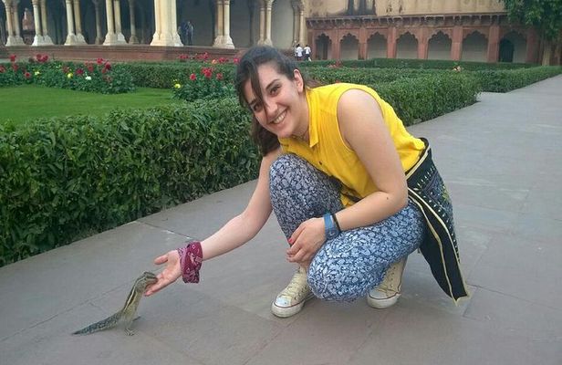 Sunrise Taj Mahal, Agra Fort & Baby Taj Tour from Delhi by Car
