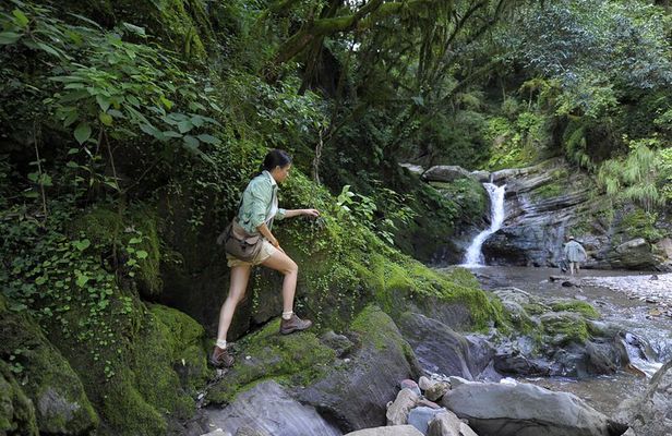 Yungas Half-Day Tour from Tucuman