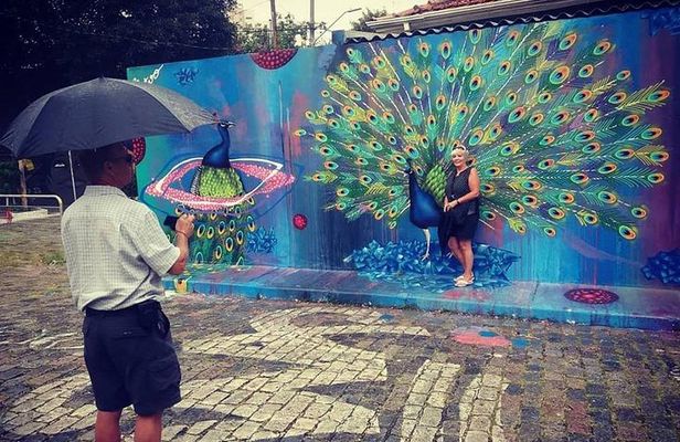 Private Street Art Tour of São Paulo with Batman´s Alley Visit