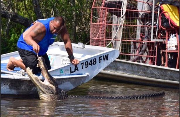 Private Bachelor or Bachelorette Airboat Swamp Tour in New Orleans