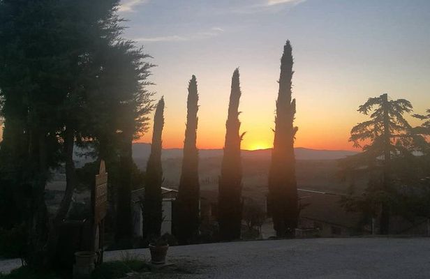 Brunello Wine Tour and Val D'Orcia Landscape