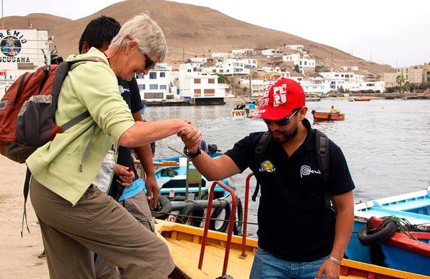 Marine wildlife observation in a fishing village