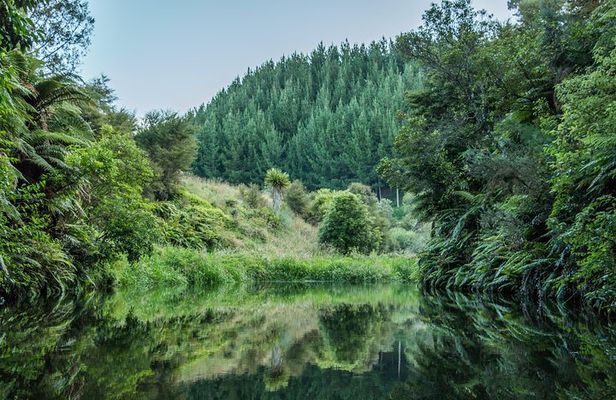 Twilight Kayak Glow worm Tour