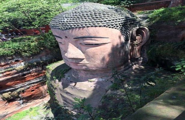 One Day Trip to Chengdu Panda Base and Leshan Buddha Tour