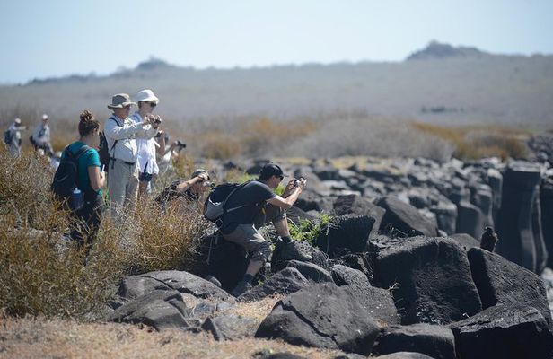 4-Day Galapagos Tour: Santa Cruz & 2 Uninhabited Islands