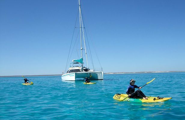 5 Night Ningaloo Reef Ningaloo Escape from Coral Bay