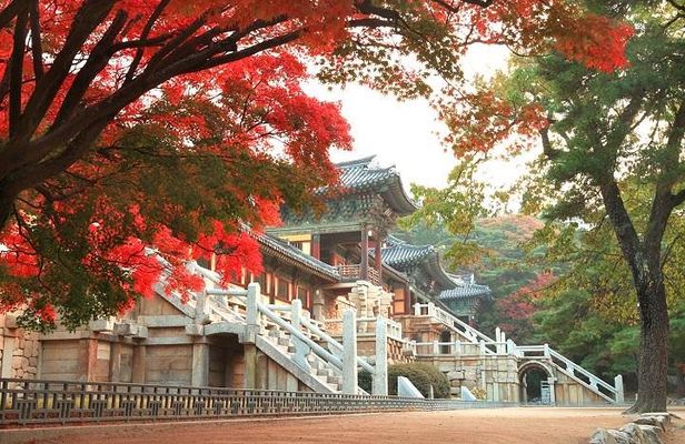 Gyeongju ONE-DAY Highlights for PRIVATE CRUISE PASSENGER'S