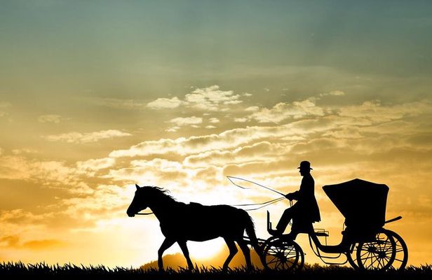 Aswan City Private Tour By Horse Carriage