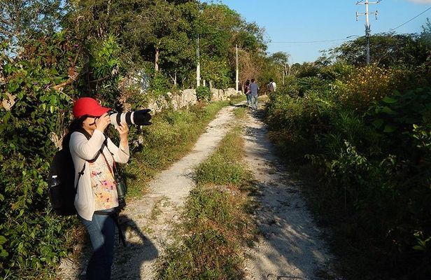 Birdwatching Yucatan 3 days trip focus on endemic birds