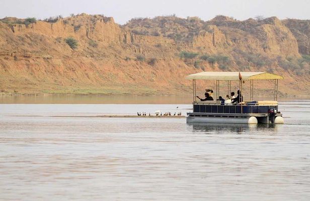 2-Days Ranthambore Safari Tour Frm Jaipur with Delhi / Agra / Jaipur drop