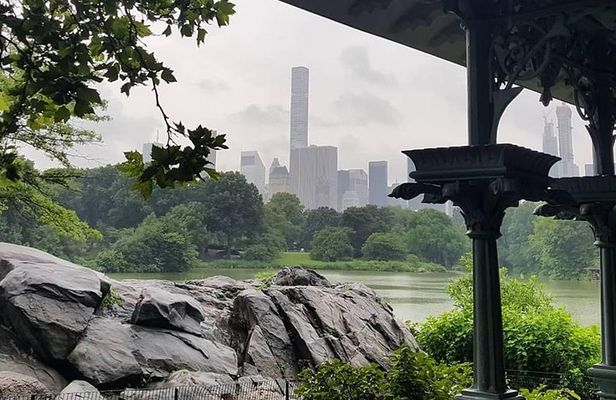 Private Scenic Central Park Walking Tour